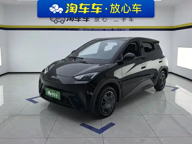 2024 BYD Seagull