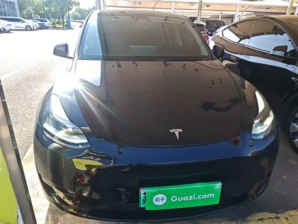 Tesla Model Y — миниатюра 4