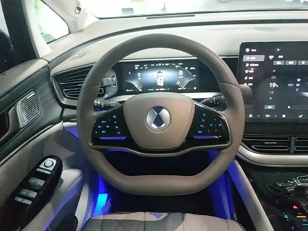 Denza Denza D9 — миниатюра 11