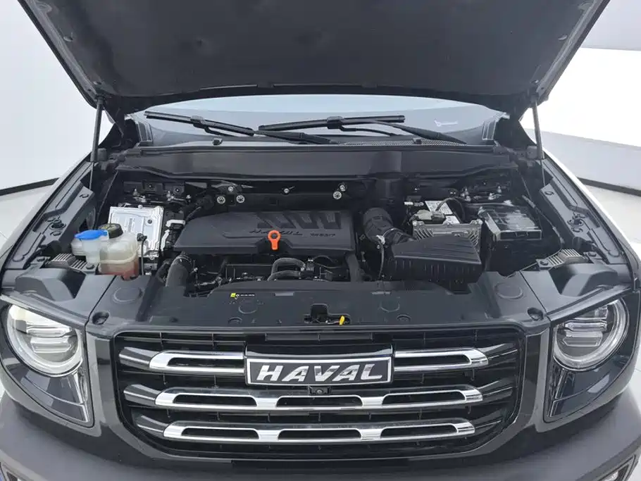 Haval Big Dog — миниатюра 10