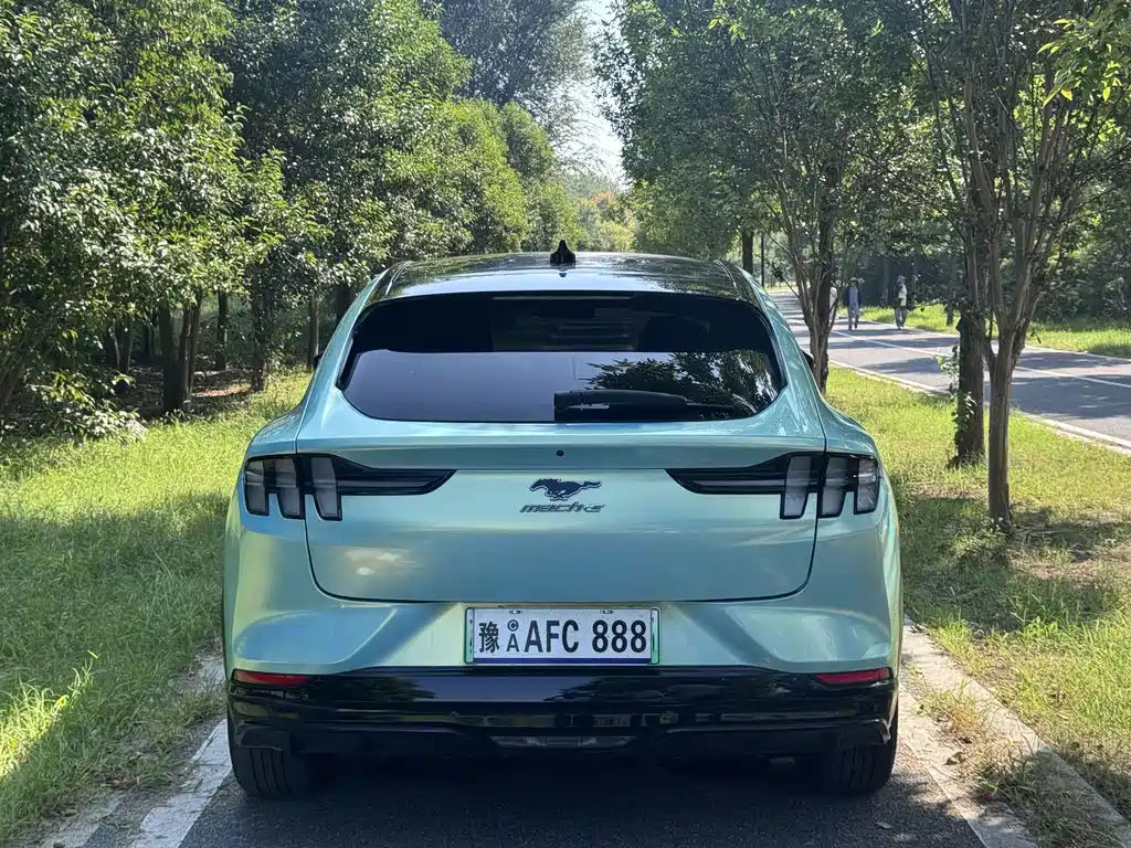 Ford Mustang Mach-E — миниатюра 8