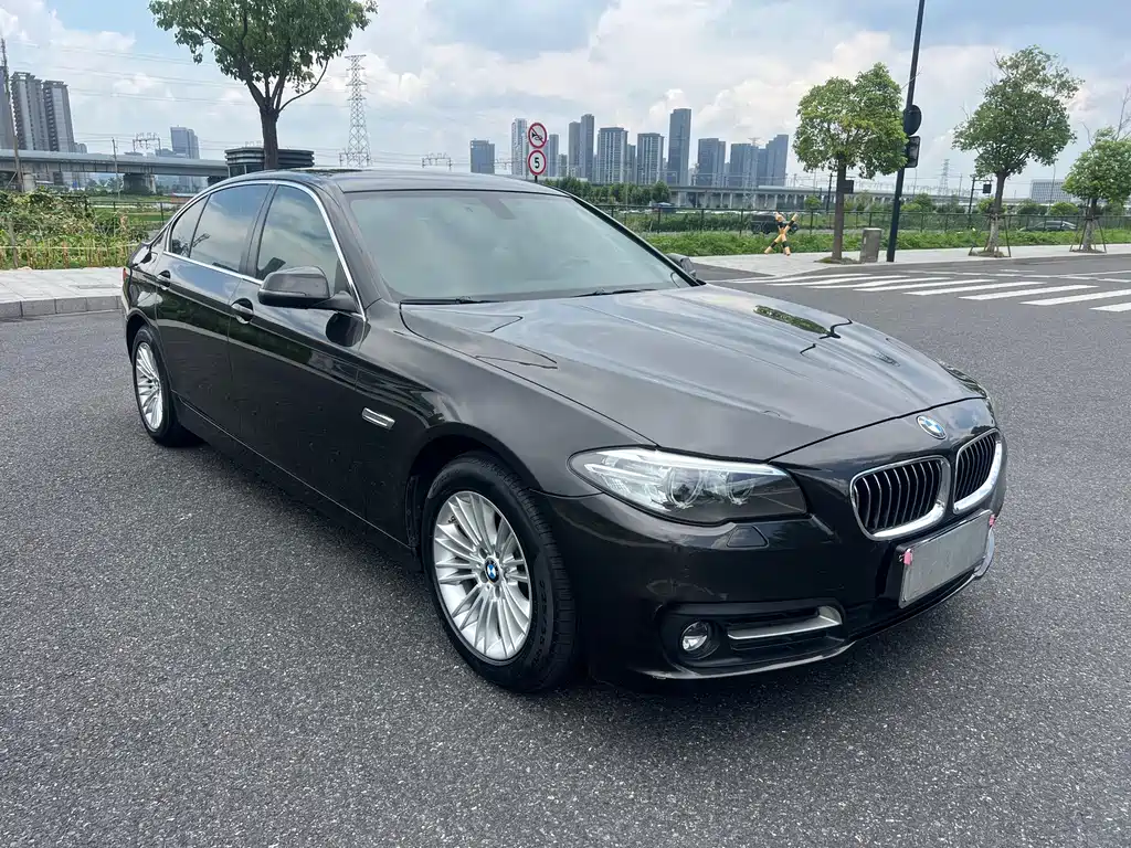 BMW 5 Series — миниатюра 3