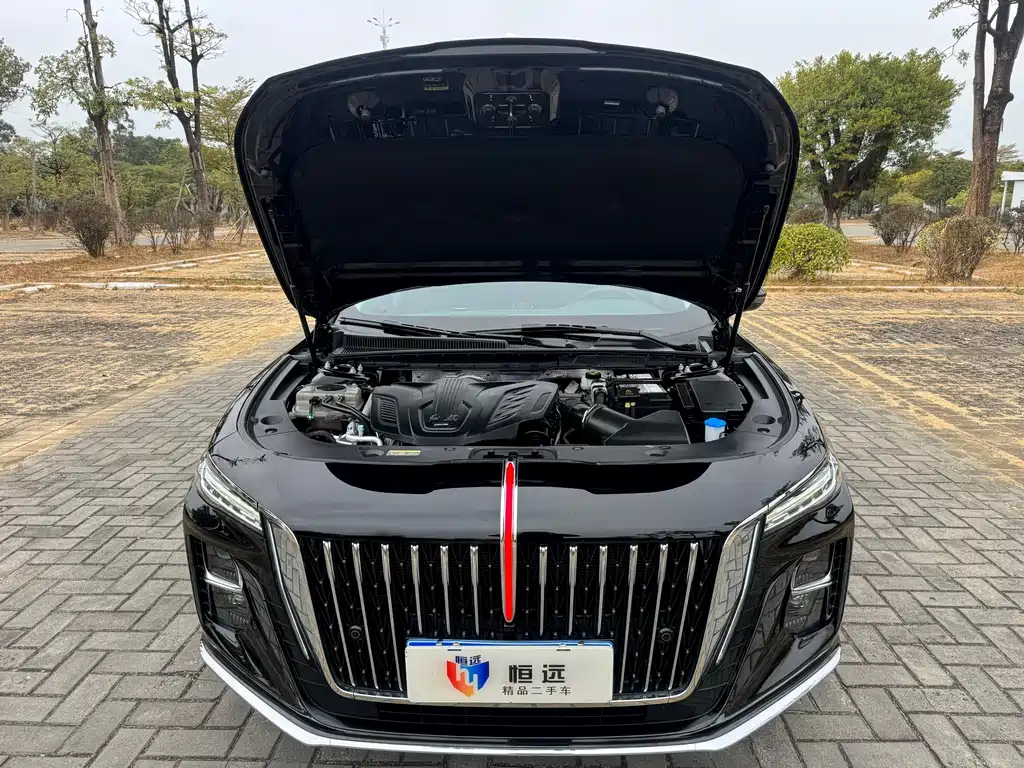 Hongqi HONGQI H5