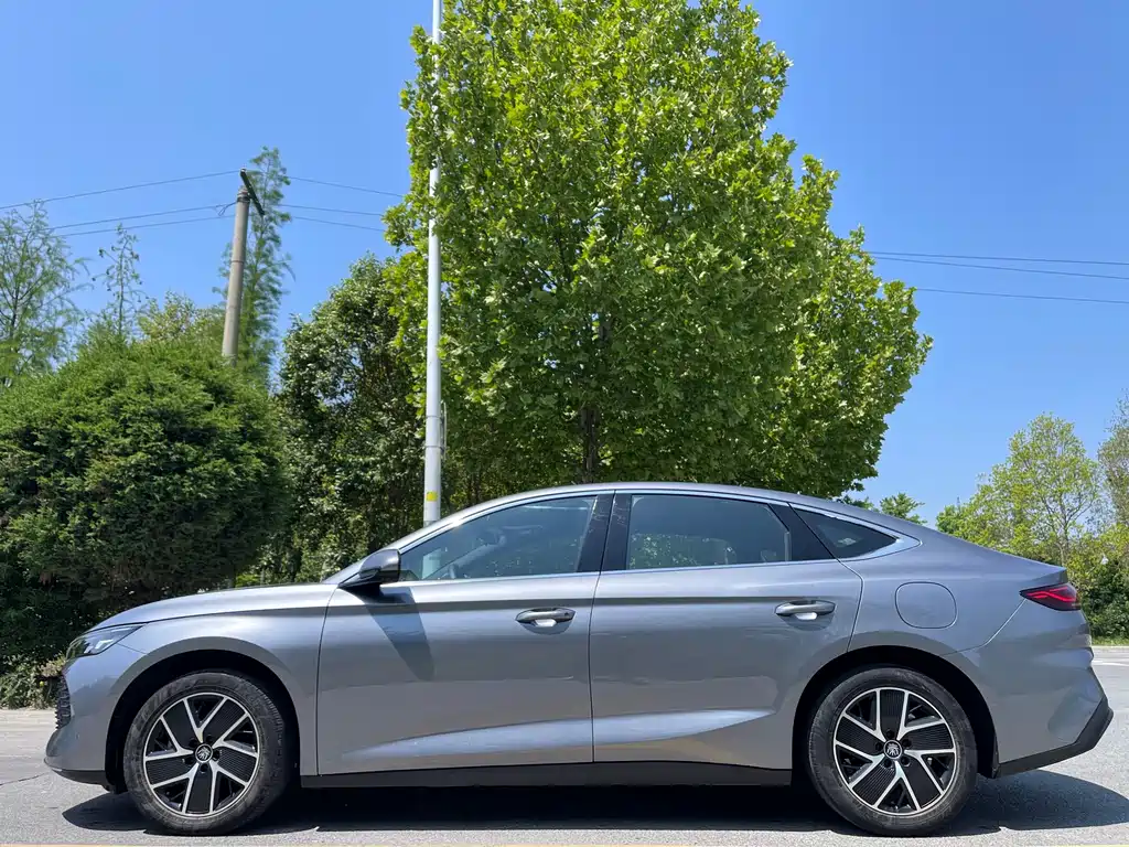 BYD Qin L - фото 4