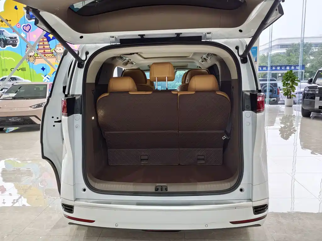 Denza Denza D9 — миниатюра 16