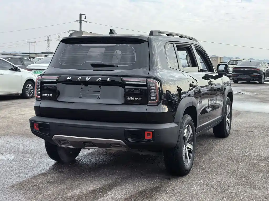 HAVAL BIG DOG