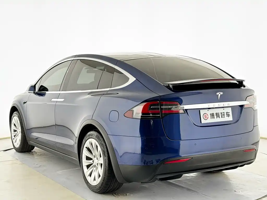Tesla Model X — миниатюра 11