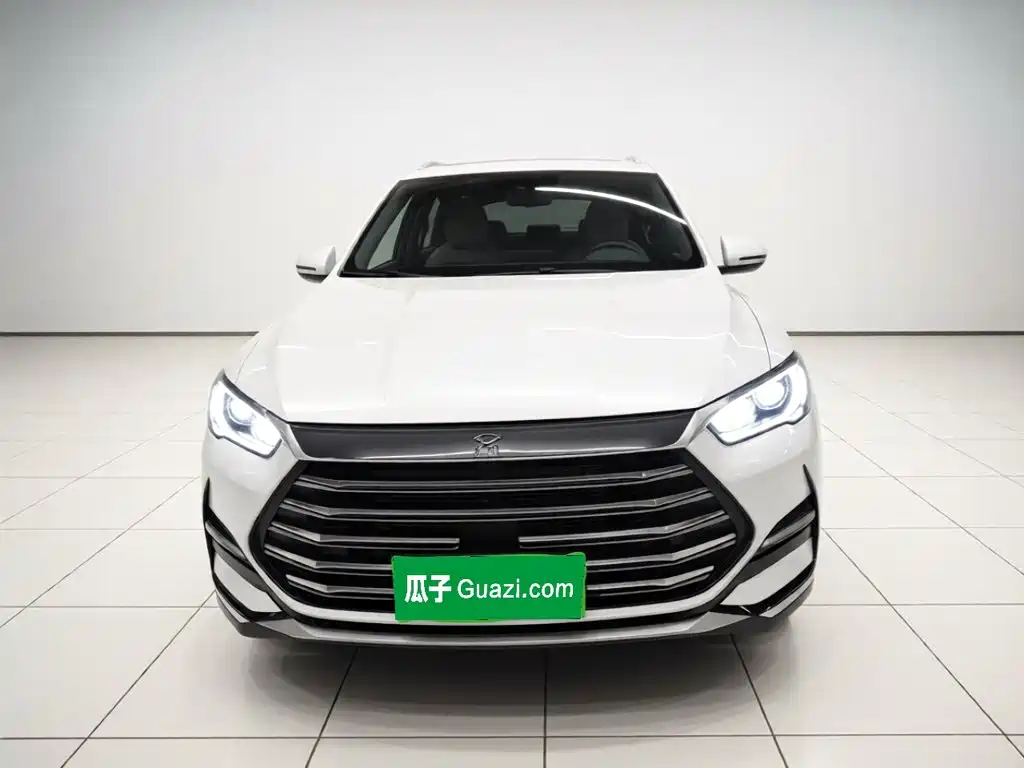 BYD Pro New Energy — миниатюра 2