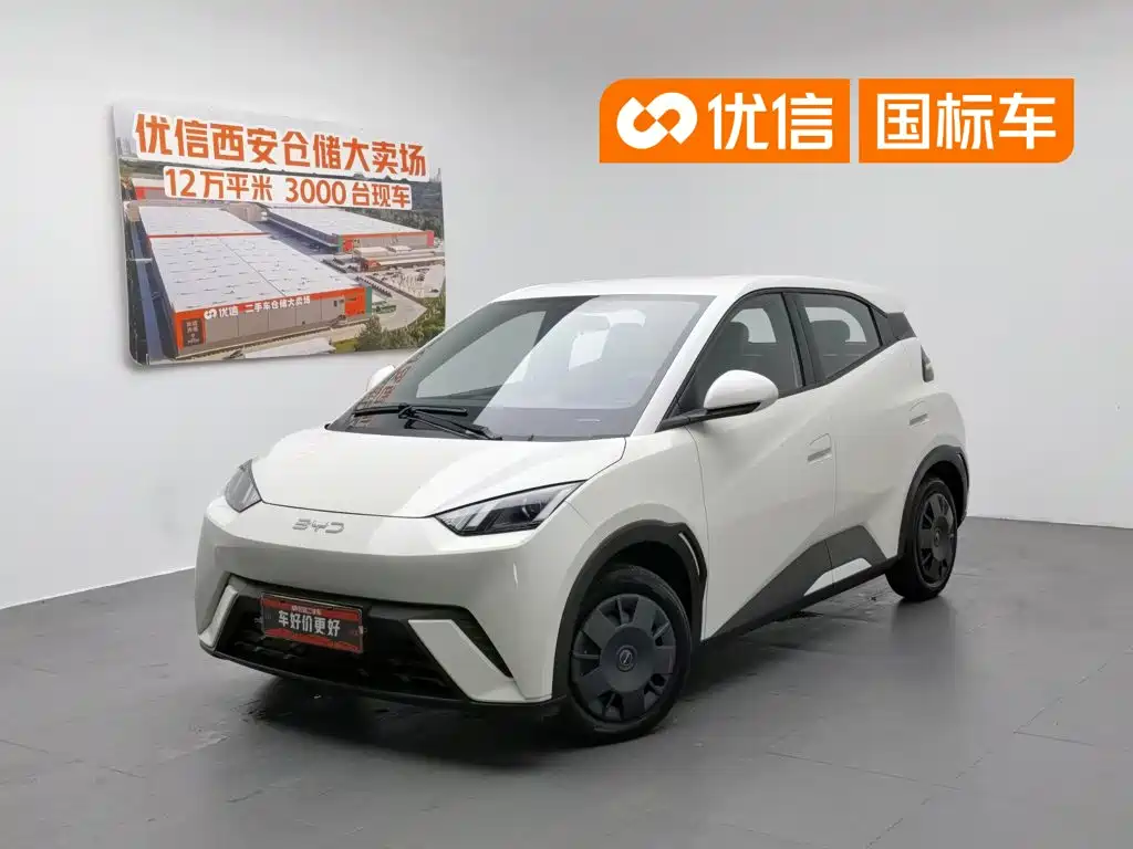 2023 BYD Seagull - zdjęcie 1 z 24