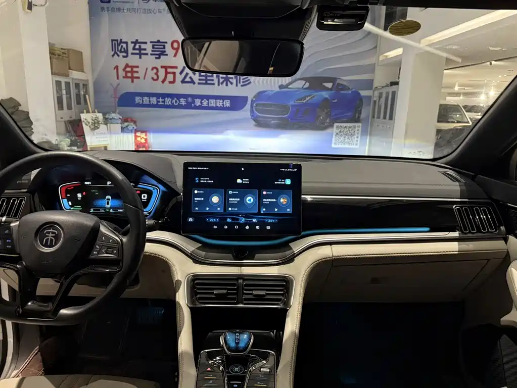 BYD PLUS — миниатюра 5