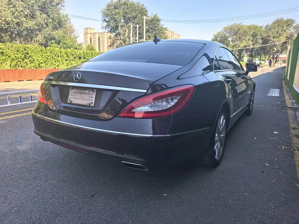 Mercedes-Benz CLS — миниатюра 14