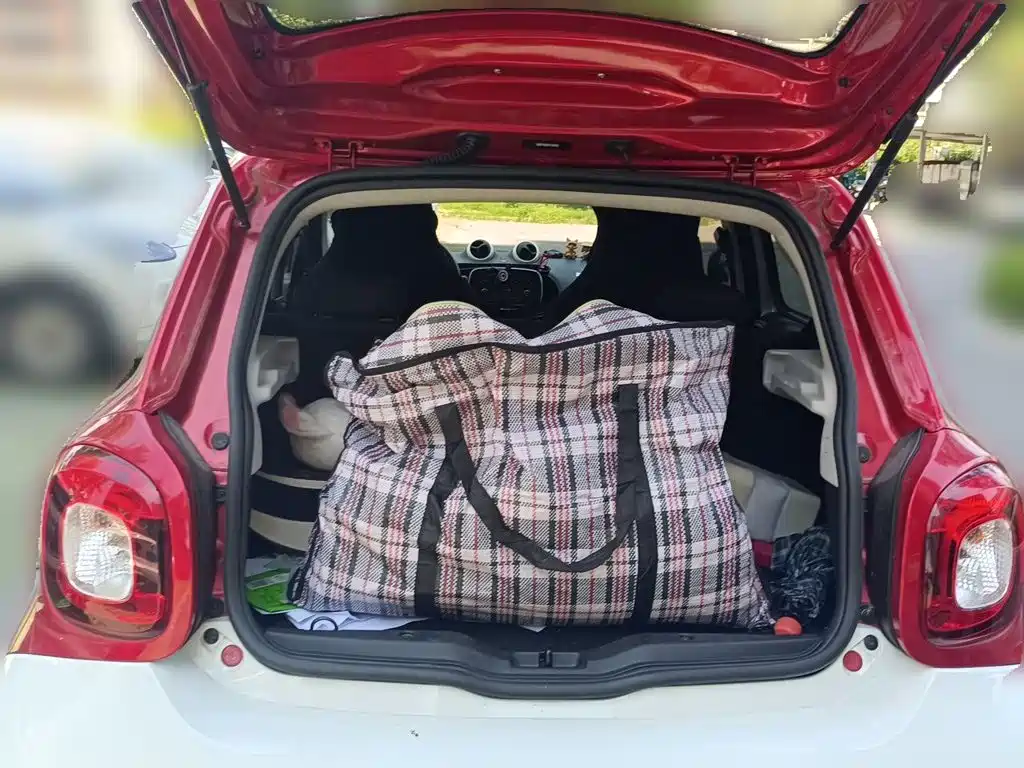smart Smart Forfour — миниатюра 10