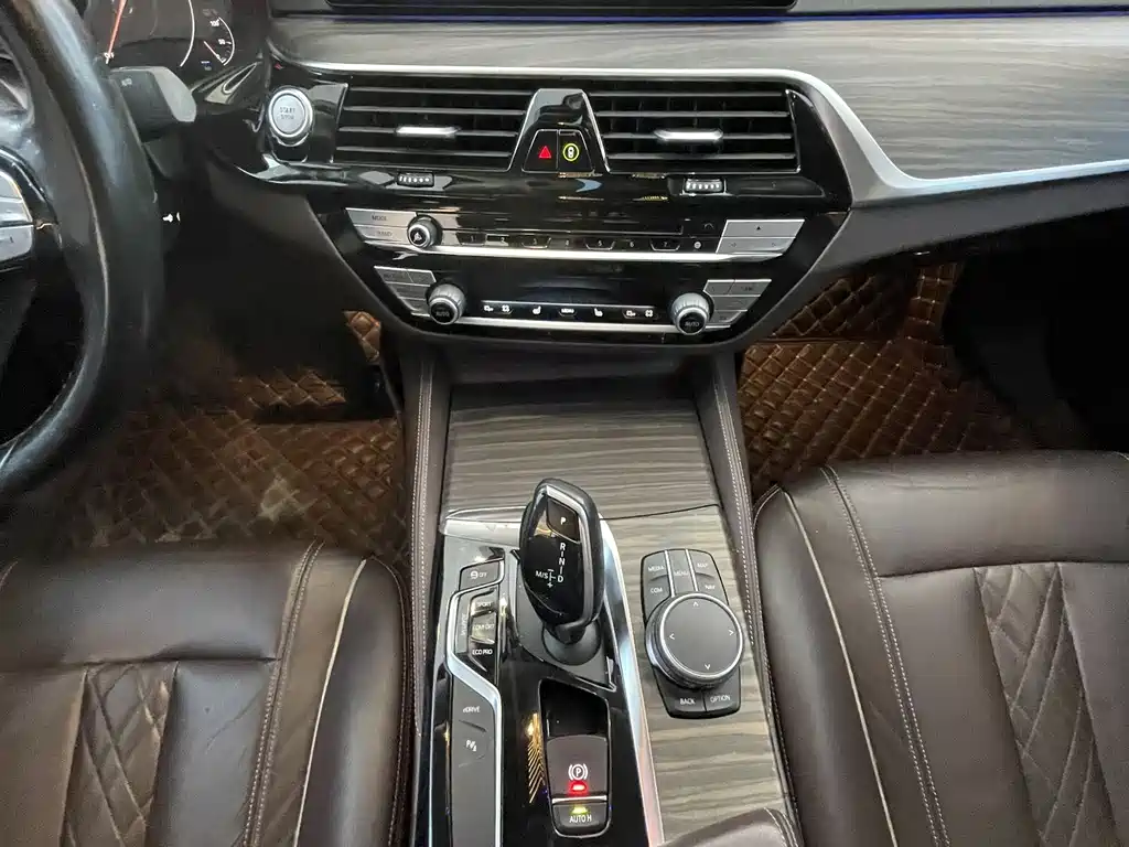 BMW 5 Series 5 2019 530Le Luxury