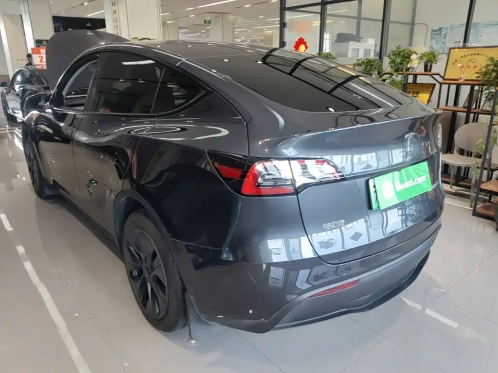 Tesla Model Y — миниатюра 5