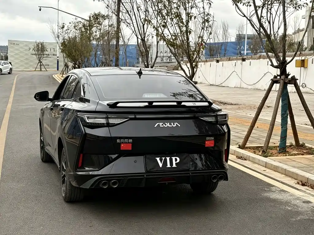 Aeolus Yixuan — миниатюра 6