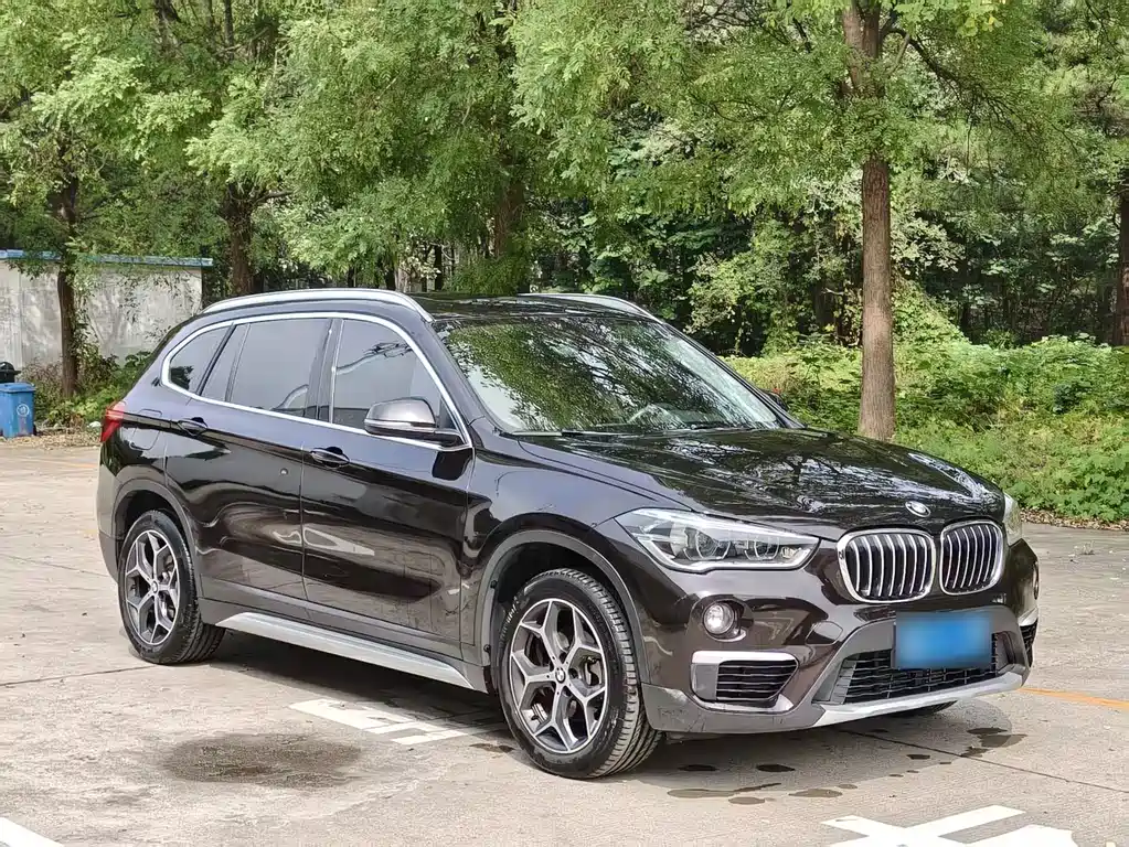 BMW X1 — миниатюра 3