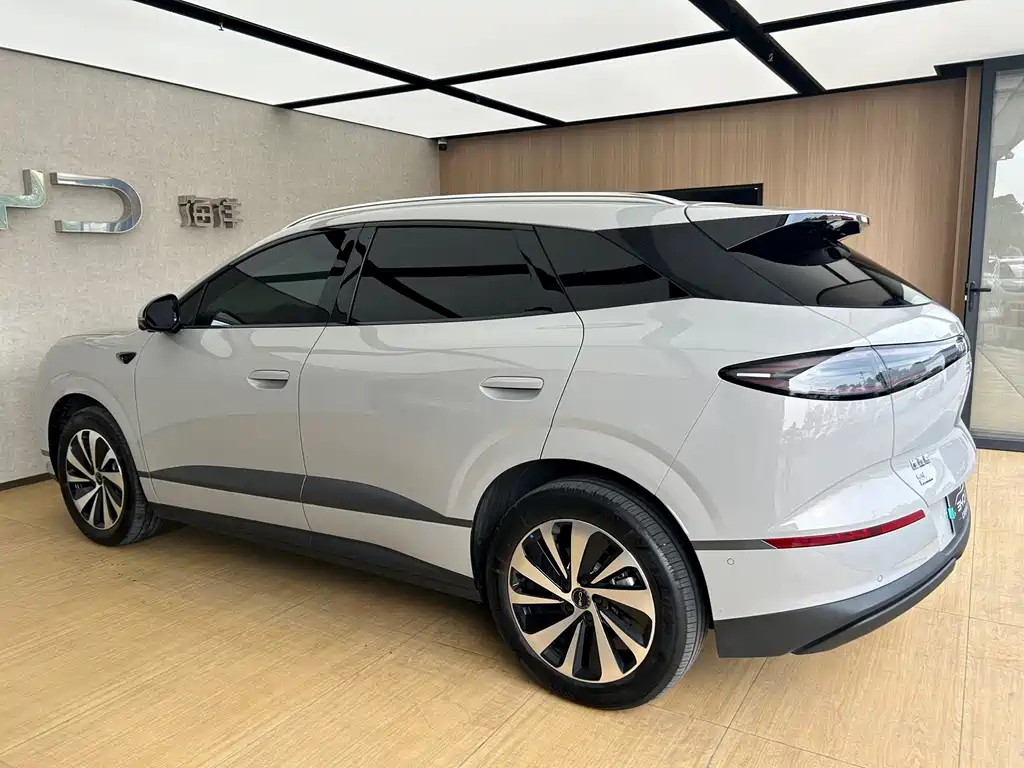 BYD Sealion 06 — миниатюра 4