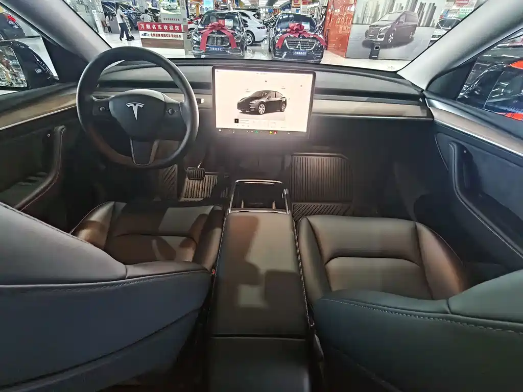 Tesla Model Y — миниатюра 20