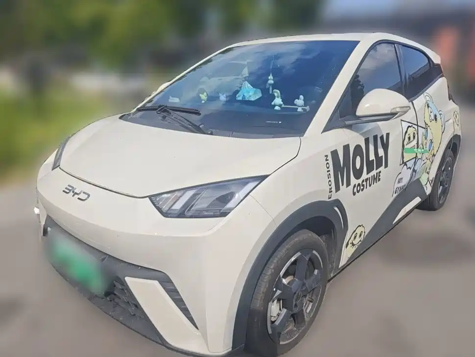 BYD Seagull — миниатюра 25
