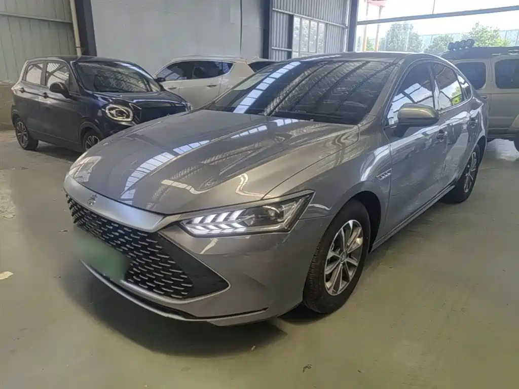 BYD Qin Plus PLUS 2024 DM-i 55KM Lead