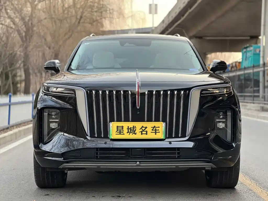 Hongqi Hongqi E-HS9 — миниатюра 2