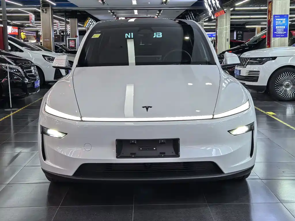 Tesla Model Y L — миниатюра 2