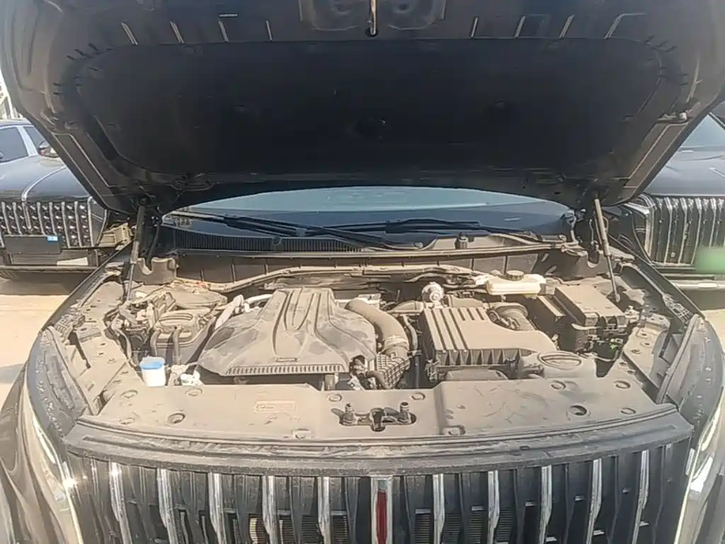 Hongqi Hongqi HS7 PHEV — миниатюра 20