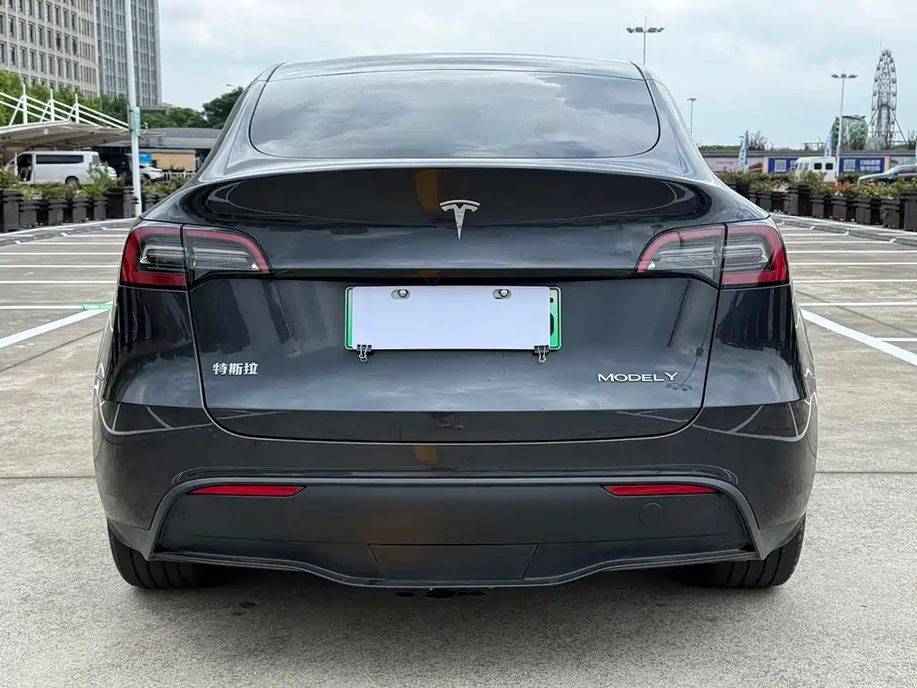Tesla Model Y — миниатюра 4
