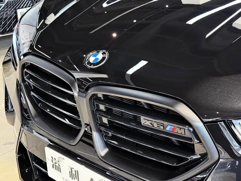 BMW X6 M — миниатюра 6