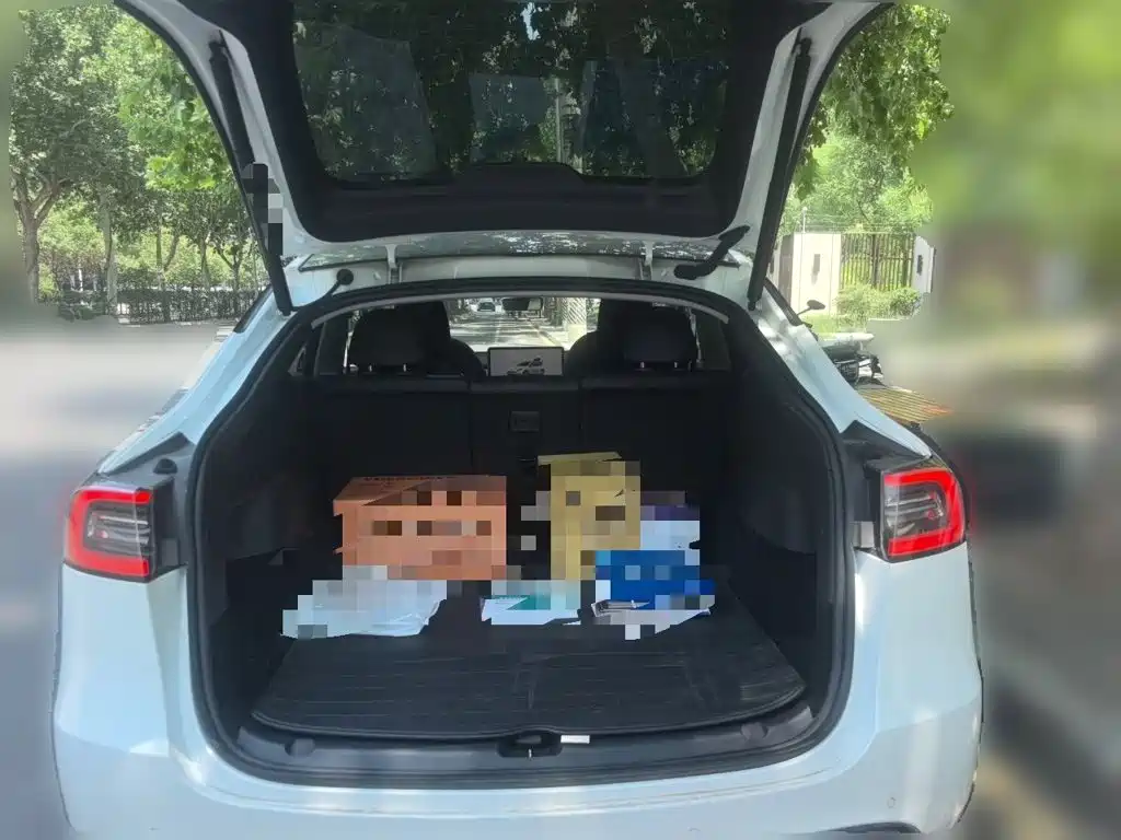 Tesla Model Y — миниатюра 10