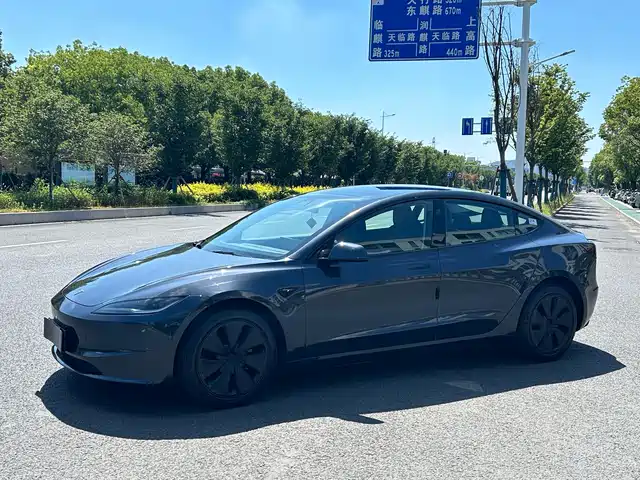 2025 Tesla Model 3