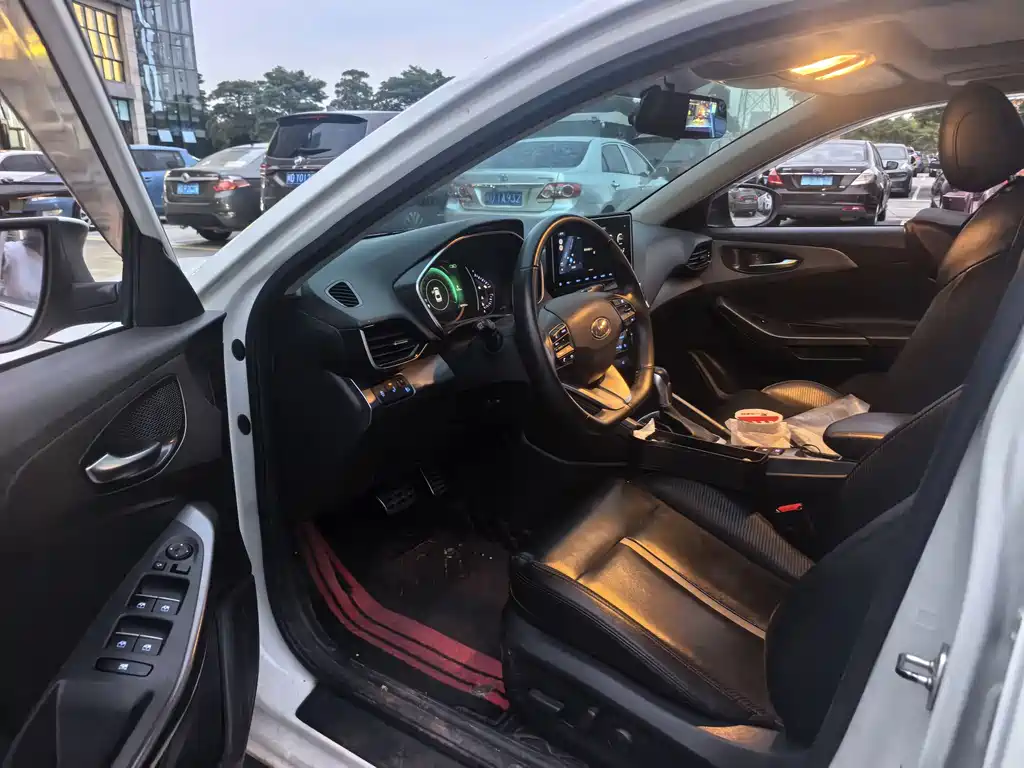 Hyundai Fista — миниатюра 2