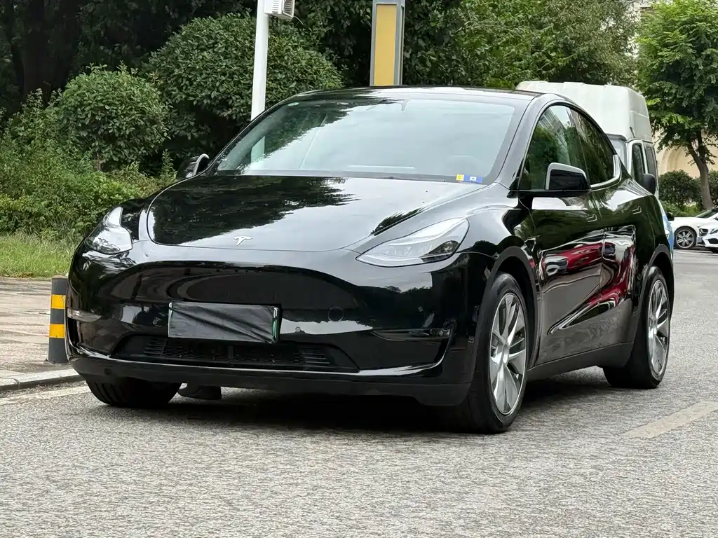 Tesla Model Y — миниатюра 3