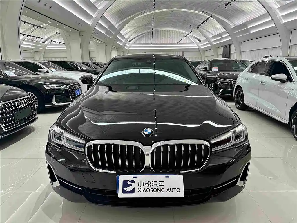 BMW 5 Series — миниатюра 2