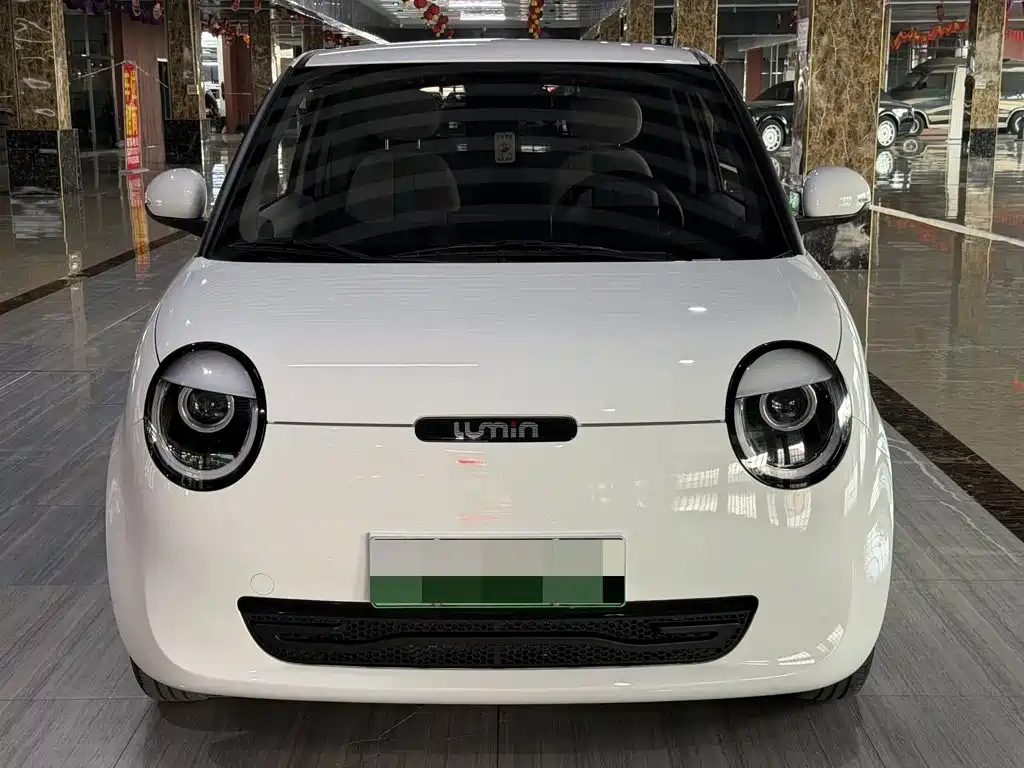 Qiyuan Lumin — миниатюра 3
