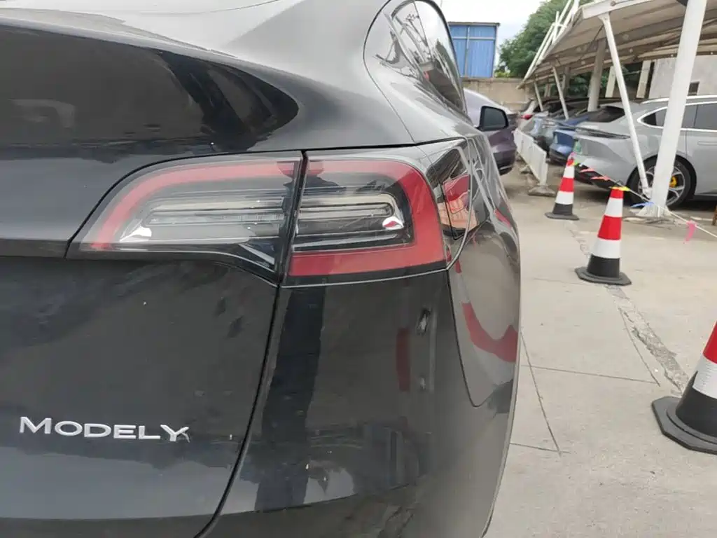 Tesla Model Y — миниатюра 8