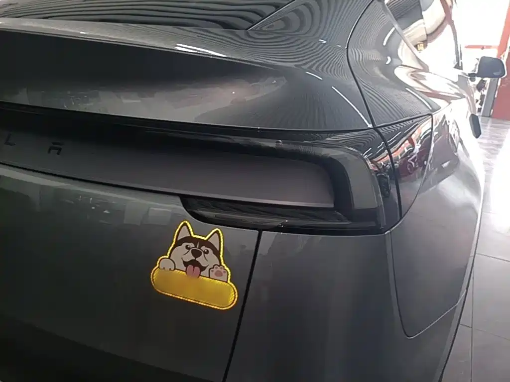 Tesla Model Y — миниатюра 8