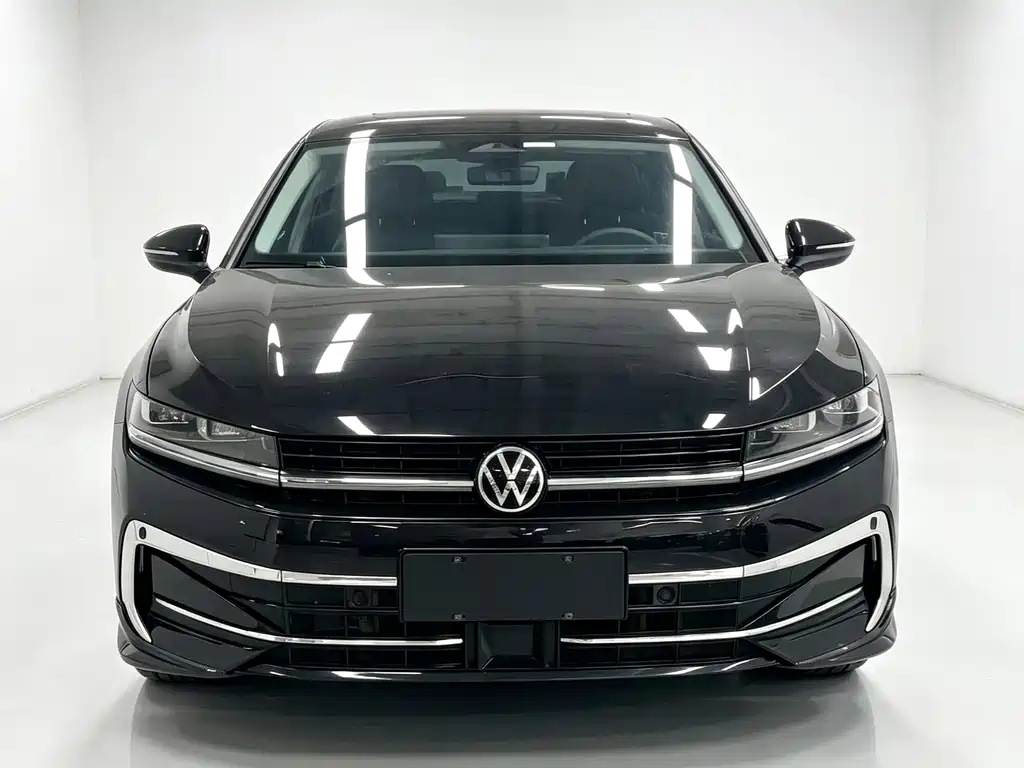Volkswagen Magotan — миниатюра 2