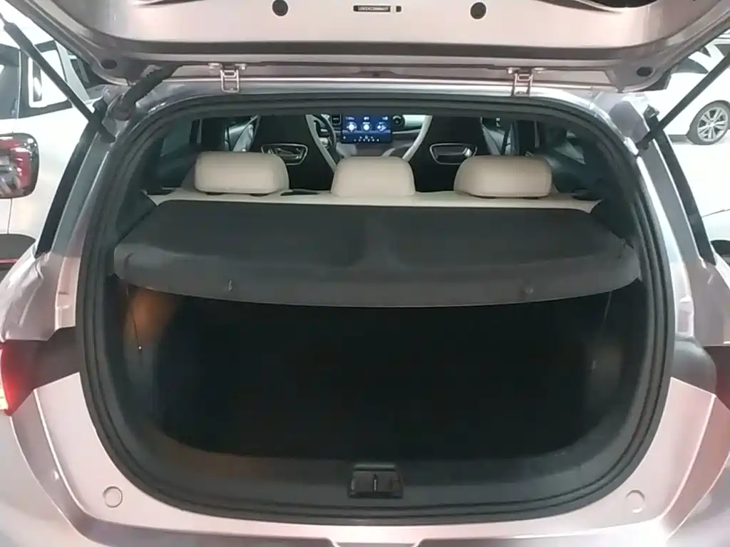 BYD Dolphin — миниатюра 19