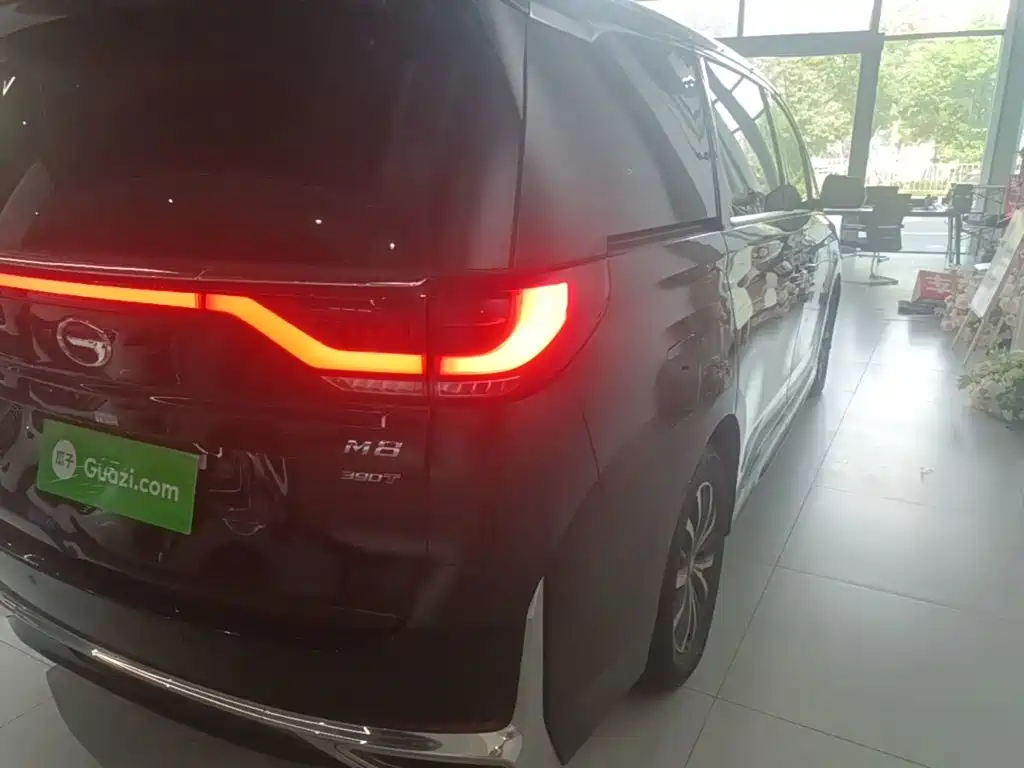 GAC Motor Trumpchi M8 — миниатюра 8