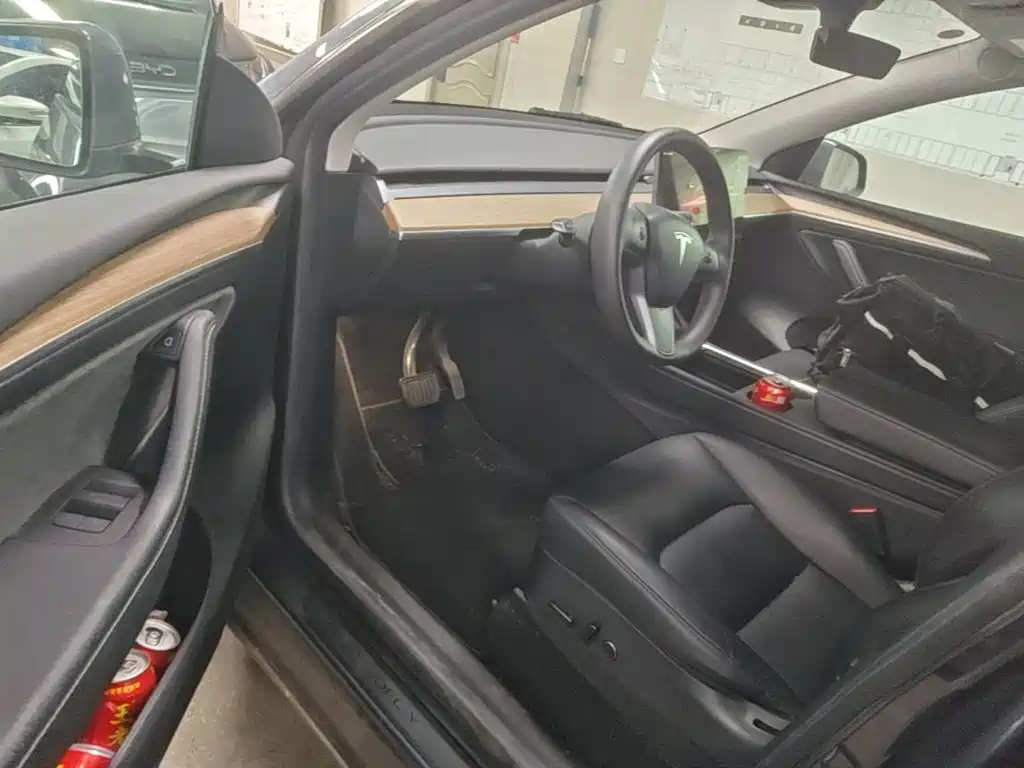 Tesla Model Y — миниатюра 16