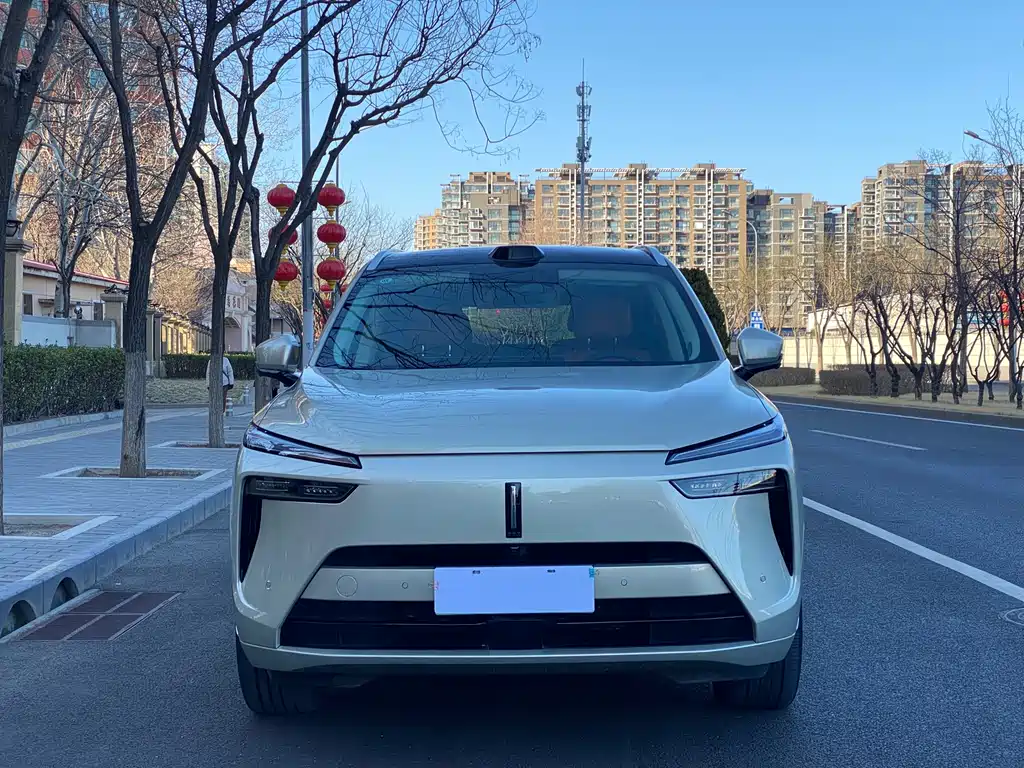 WEI PAI WEI BRAND BLUE MOUNTAIN