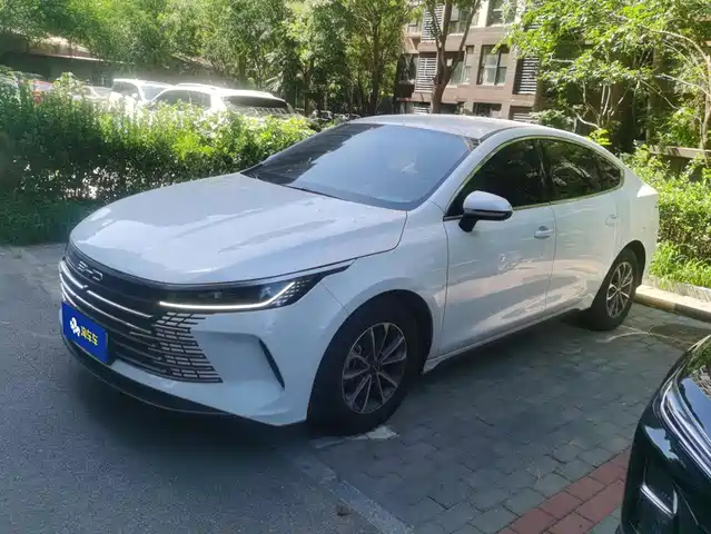 2024 BYD Destroyer