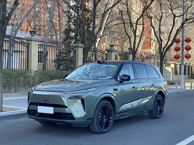 WEI PAI WEI BRAND BLUE MOUNTAIN 2025