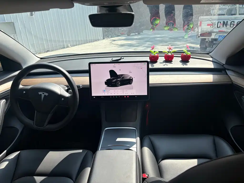 Tesla Model 3 — миниатюра 6