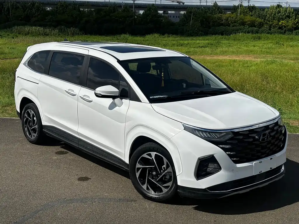 Hyundai Custo — миниатюра 15