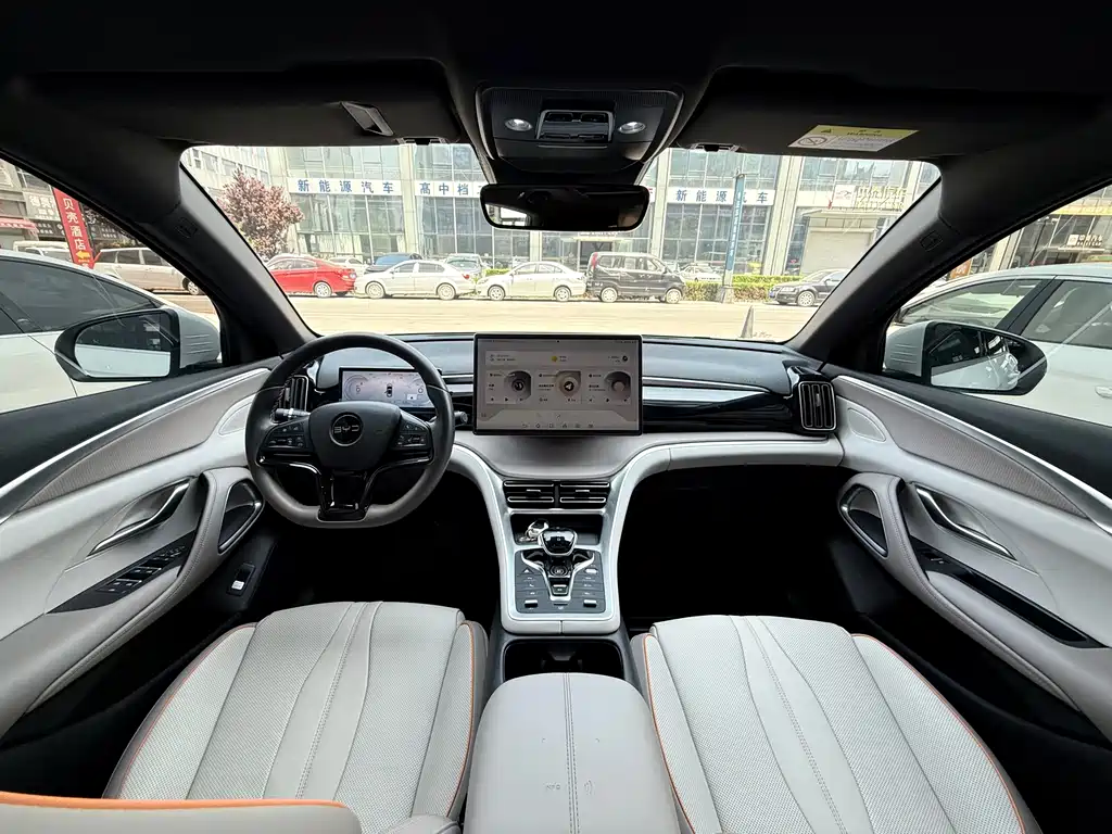 BYD Pro New Energy — миниатюра 10