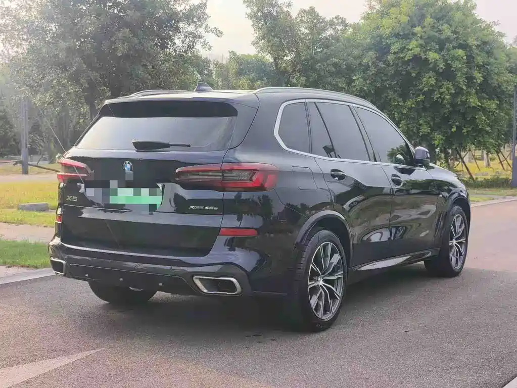 BMW X5 New Energy (Import) — миниатюра 8