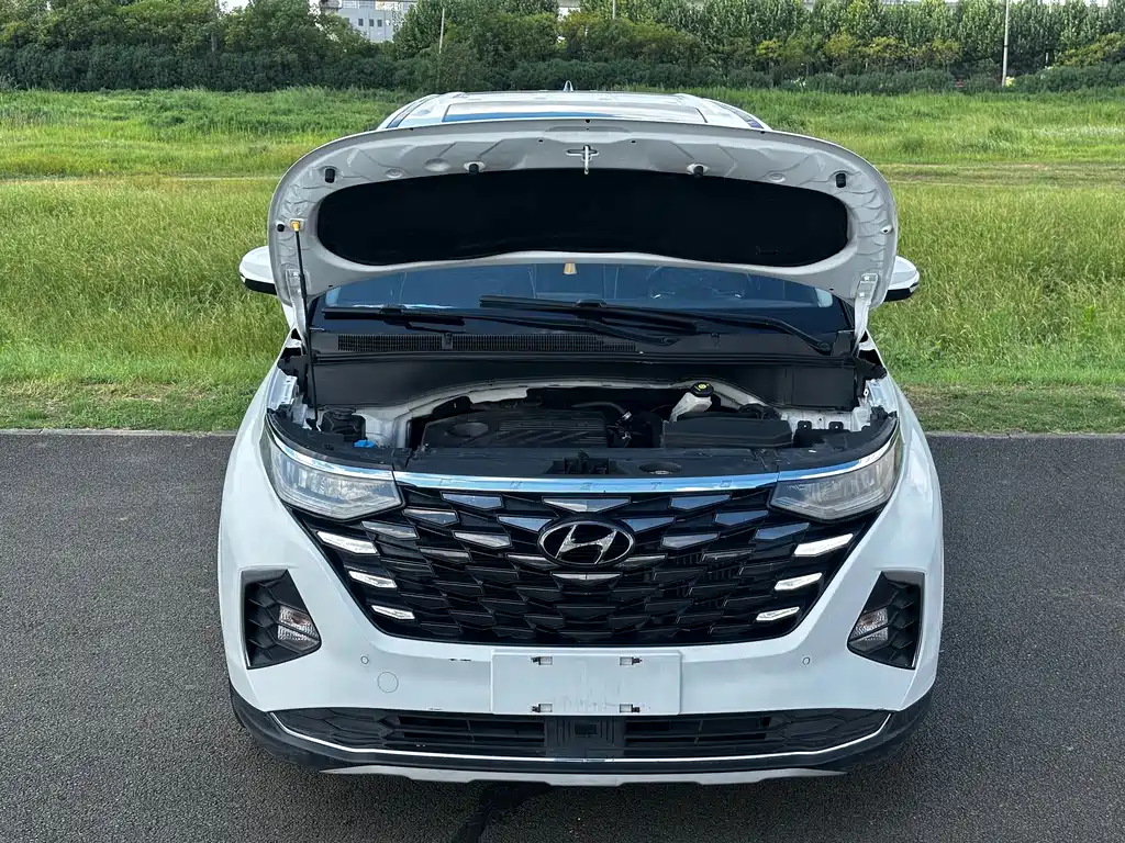 Hyundai Custo — миниатюра 21