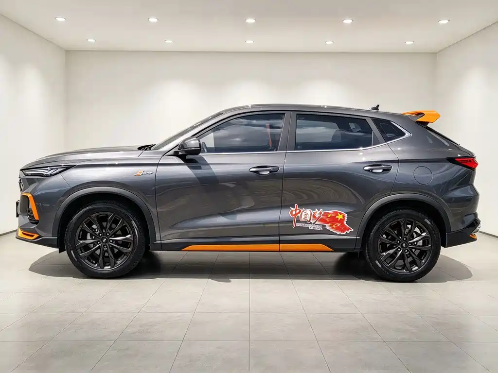 Oshan Oushang X5 — миниатюра 15